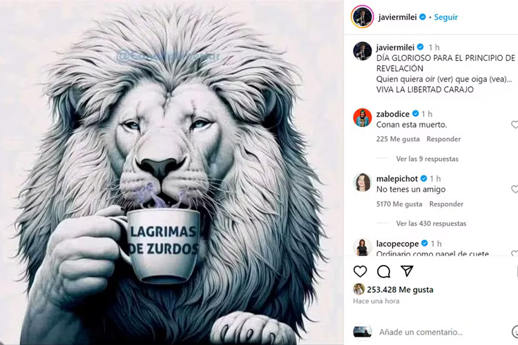 La reacción de Milei en Instagram tras la masiva marcha en defensa de